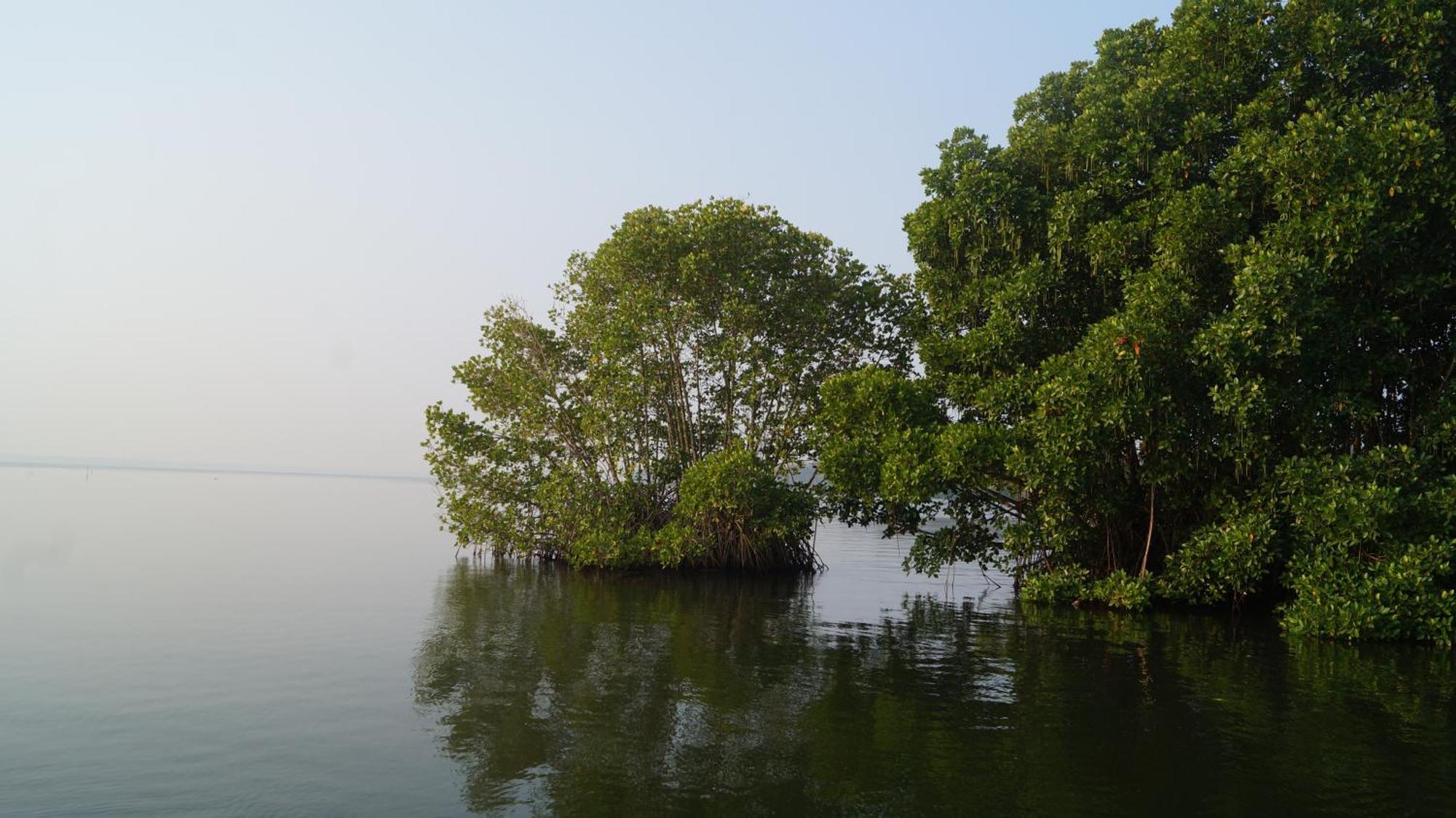 Blue Lake Villa Kollam Exterior foto